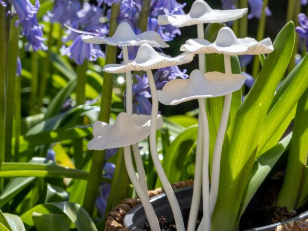 Set of 5 Polymer Clay Mushrooms